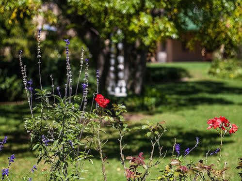 Chartwell Castle & Guest House Exterior foto